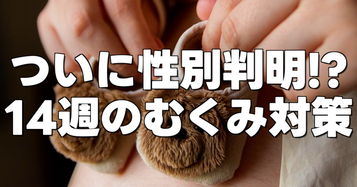 ついに性別判明！？ 14週のむくみ対策の文字と妊婦のお腹に赤ちゃんの靴の画像