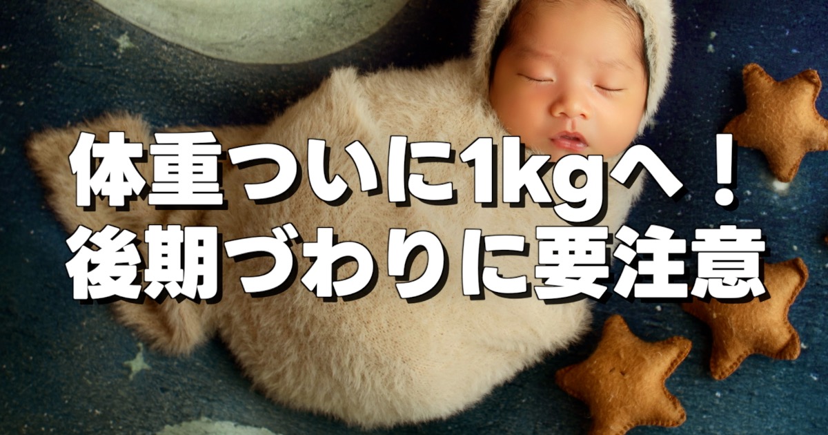 体重ついに1kgへ！ 後期づわりに要注意の文字と眠る赤ちゃん