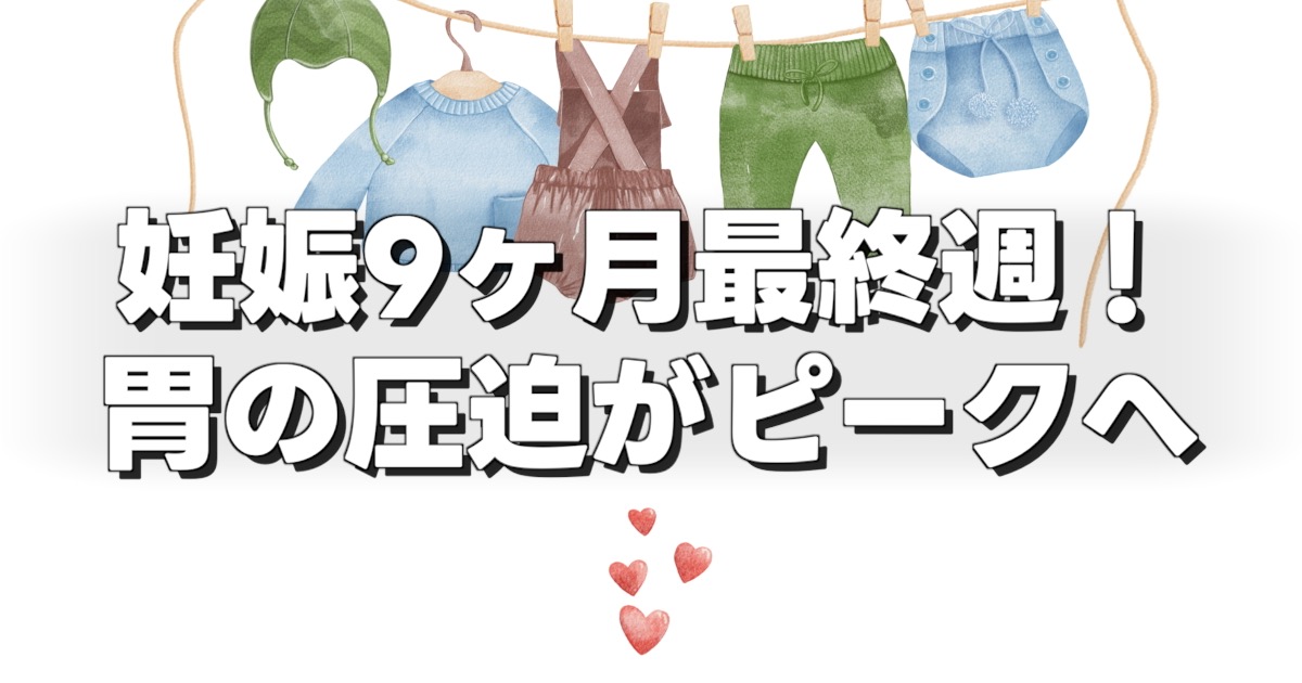 妊娠9ヶ月最終週！ 胃の圧迫がピークへのテキストと白画像