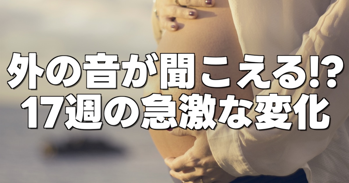 外の音が聞こえる!? 17週の急激な変化の文字と妊婦のお腹