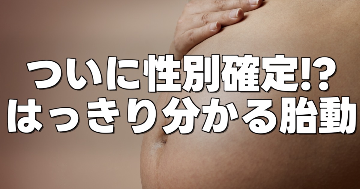ついに性別確定！？ はっきり分かる胎動の文字と妊婦のお腹