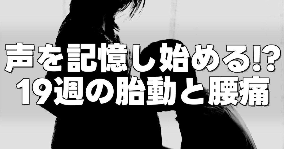声を記憶し始める！？ 19週の胎動と腰痛の文字とお腹の子の誕生を待つパパママ