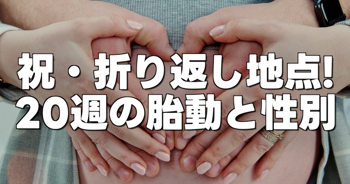 祝・折り返し地点！ 20週の胎動と性別の文字とお腹に手を当てるパパママの手