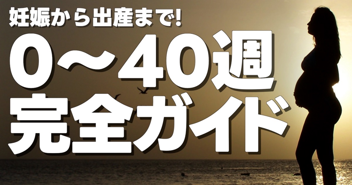 妊婦の全身姿と、妊娠から出産まで! 0〜40週の完全ガイドの文字