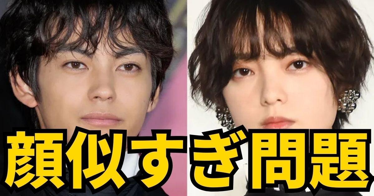 結婚を発表し顔を寄せ合う平手友梨奈と神尾楓珠のそっくりなツーショット