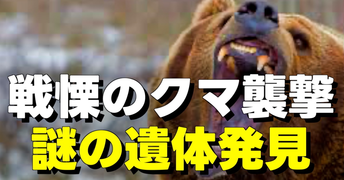 戦慄のクマ襲撃 謎の遺体発見の文字と荒ぶる熊